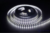 Лента светодиодная 120 диодов/м.п. 5050 хол.белый,24V,28.8W, открытая, IP20 LR10-CW120