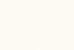  ЛДСП 2800-2070-16,6мм белый премиум W1000 ST38