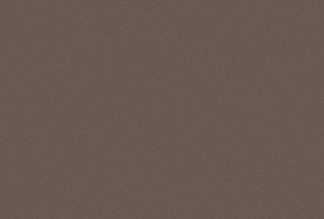 ABS Кромка-Трюфель Коричневый 0,4х19х200 (ST9 U748) EGGER