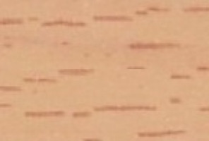 ПВХ Кромка-Бук Натур  0,4х19мм   101024W ***    Lamarty