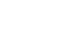 ПВХ Кромка-Белоснежный  0,4х19мм  101010U    Lamarty