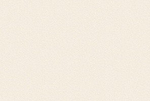 ABS Кромка-Камель бежевый 2х35х75 (ST9 U216) EGGER