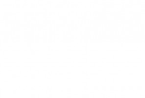   ЛХДФ 2800-2070-3мм  белый фасадный 0101 (Кроношпан)