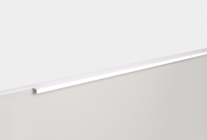 RT109W.1/000/800 Белый Ручка RAY