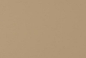  EVOGLOSS 18х1220х2800 P008 Вижен (матовый) (односторонняя)  (732)