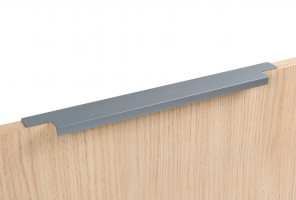 RT109GR.1/224/300 Серый Ручка RAY