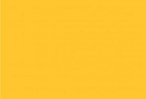  ЛДСП 2750-1830-16мм солнечный - L  2023  выводится