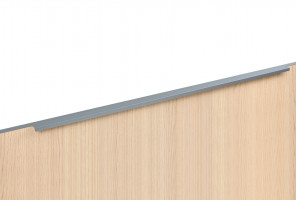 RT109GR.1/000/900 Серый Ручка RAY