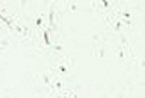 Кромка -3028                        Мрамор марквина белый 3000-32мм