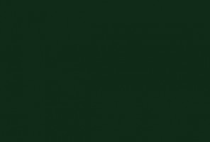  ЛДСП 2800-2070-16мм зеленый еловый U699 ST9   24+