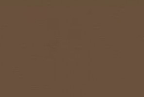 ABS Кромка-Металл брашированный бронзовый 0,4х19х200 (ST20 F528) EGGER