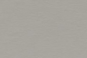 ABS Кромка-Серебристый матовый  0,4х19х200 (ST20 F765) EGGER