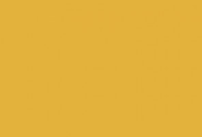 ABS Кромка-Карри желтый 0,4х19х200 (ST9 U163) EGGER