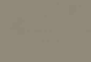 ABS Кромка-Серо-коричневый темный 2х19х75 (ST9 U740) EGGER