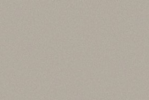 Кромка-ПВХ EVOSOFT Пепельный аметист EVS003 / Сафари грей 3020   0,8х22мм