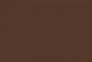 ABS Кромка-Темно-коричневый 0,4х19х200 (ST9 U818) EGGER