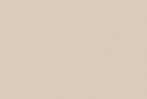 ABS Кромка-Бежевый песок 0,8х19 (U156) 100305U РЕХАУ