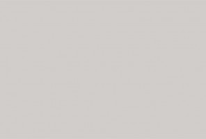 ПВХ Кромка-Серый циркон 1х23мм   410007W  / 2602L