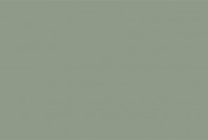 ПВХ Кромка-Ирландский мох 1х23мм   410016U / 2611L