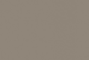 ABS Кромка-Серо-коричневый темный 0,8х23х75 (ST9 U740) EGGER