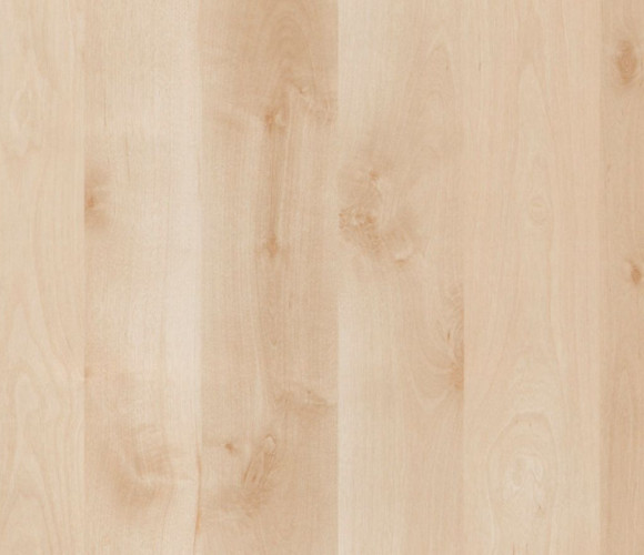  ЛДСП 2750-1830-10мм береза нордик - T   выводится