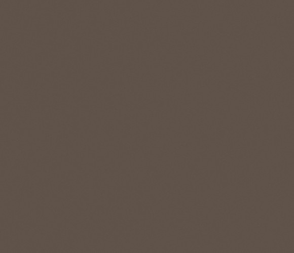  ЛДСП 2800-2070-10мм трюфель коричневый U748 ST9