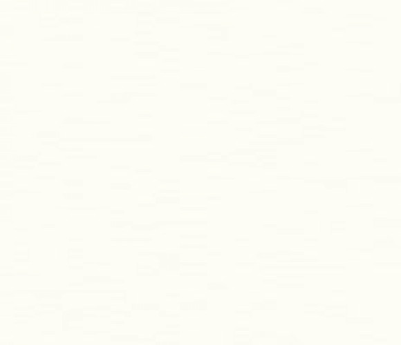 ABS Кромка-Платиновый белый 0,4х19х200 (SM W980) EGGER ***