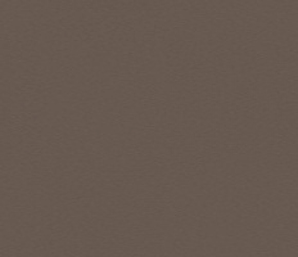 ABS Кромка-Трюфель Коричневый 2х19х75 (ST9 U748) EGGER