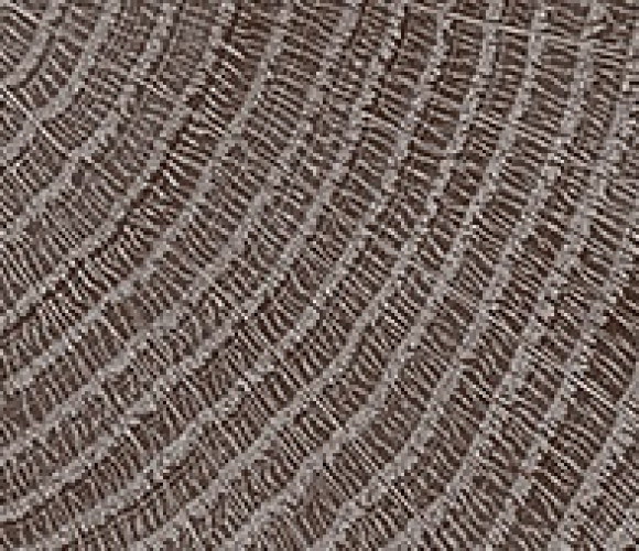 ABS Кромка-Сосна Пасадена 2х19х75 {Поперечная структура} (Q1486) EGGER ***