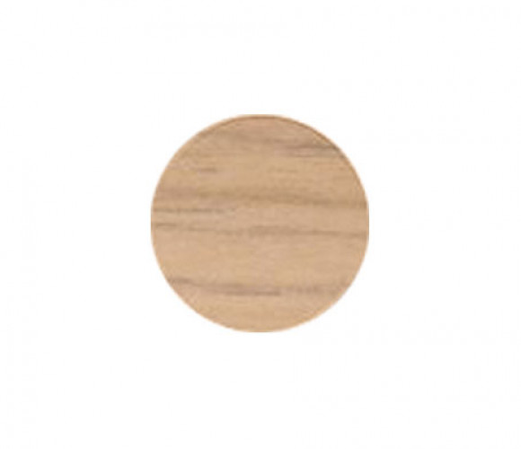 Заглушка самокл. d=20мм Дуб Арлингтон натуральный 20.981 (28шт/лист)
