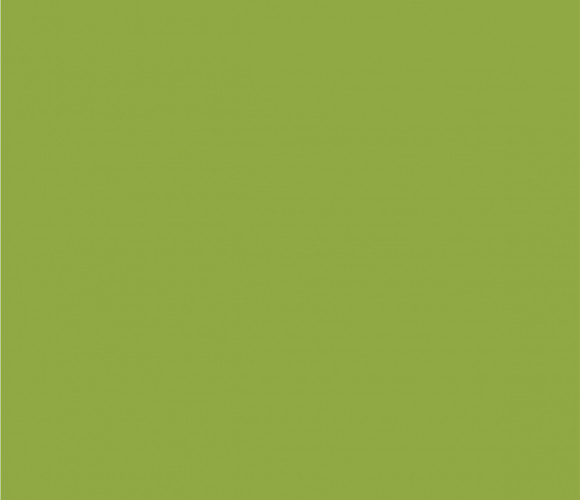  ЛДСП 2750-1830-16мм гринери - L