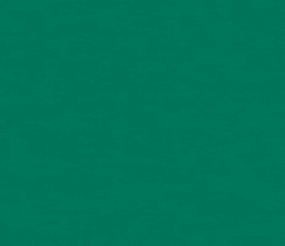 ABS Кромка-Зеленый изумрудный 0,4х19х200 (ST9 U655) EGGER