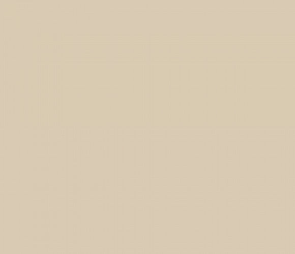 ПВХ Кромка-Имбирь 0,8х19мм  101050U  Lamarty