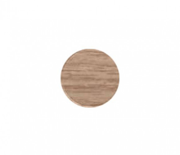 Заглушка самокл. d=20мм Дуб винчестер светлый 20.807 (28шт/лист)