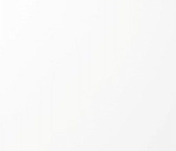  EVOGLOSS 18х1220х2800 P001 Белый (матовый) (односторонняя)  (734)