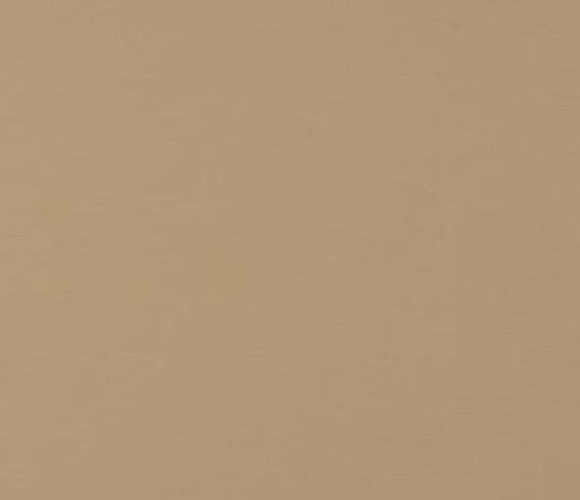  EVOGLOSS 18х1220х2800 P008 Вижен (матовый) (односторонняя)  (732)