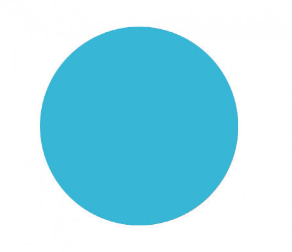 Заглушка самокл. d=20 мм  Топаз  101113U (12шт/лист)    REHAU