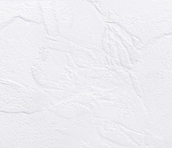 Столешница компакт-плита  АМК Троя  017/CК Супер-белый 3050-650-12мм