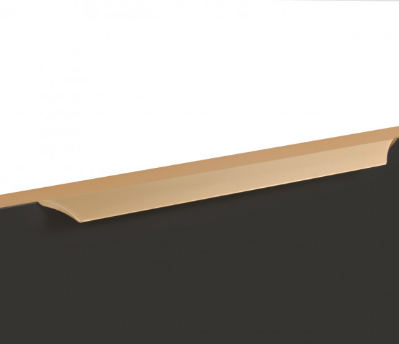 RT114SG.1/256/450 Сатиновое золото Ручка WING