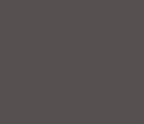 Столешница компакт-плита  АМК Троя  2754/СК Графит 3050-650-12мм