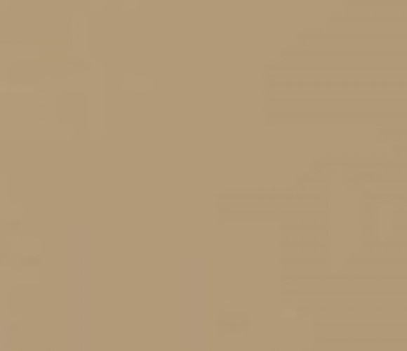 Кромка ПВХ HG матовый Вижен 0,8х22 P008 (Р732) EVOGLOSS **