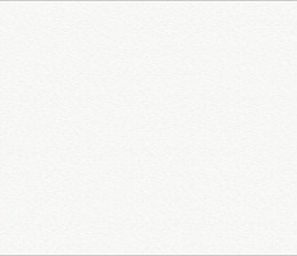 ABS Кромка - Белый премиум 0,8х19 (ST9 W1000) D621