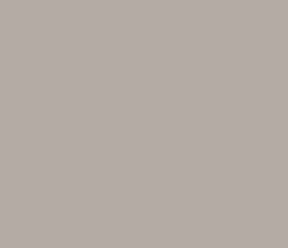 РЕХАУ PET Aquarelle Утренний капучино 1220x2800x18 мм 2599L  двусторонняя