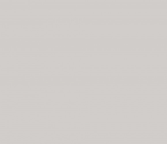 РЕХАУ PET Aquarelle Серый циркон 1220x2800x18 мм 2602L  двусторонняя