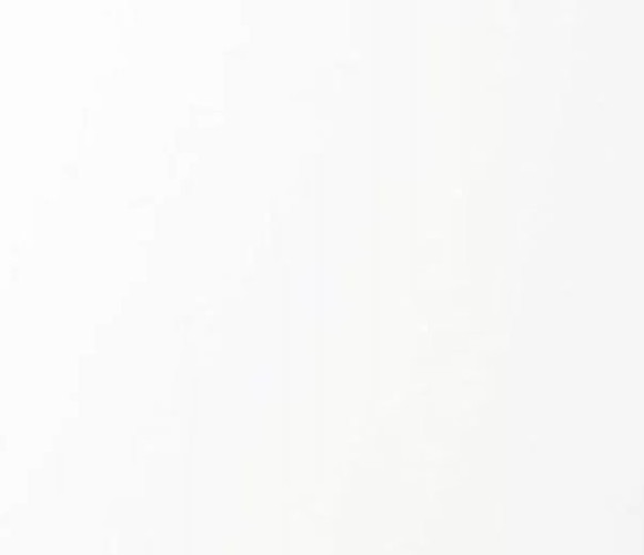 Кромка ПВХ Evogloss Белый матовый 0,8*22 P001  AGT 734